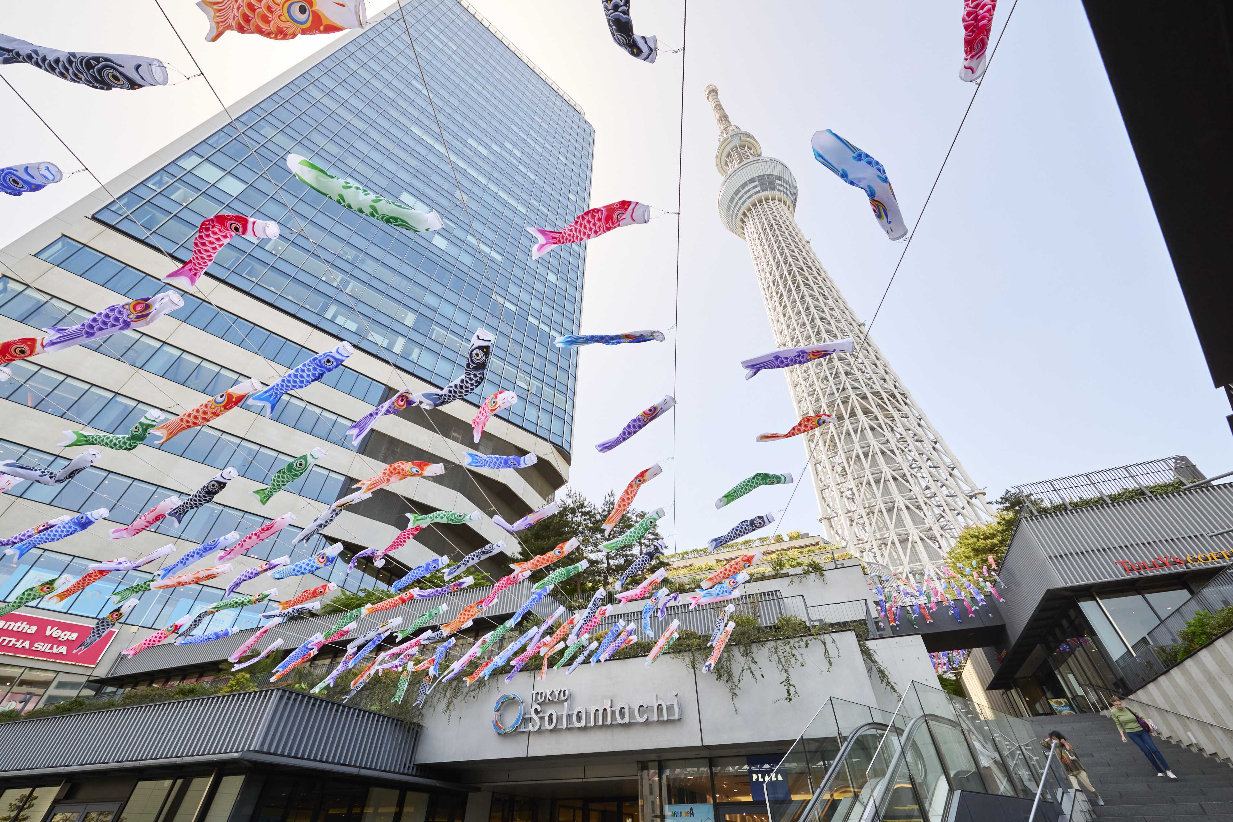 🌳 동백수염 공원(히가시시라히게코엔) 이미지 9